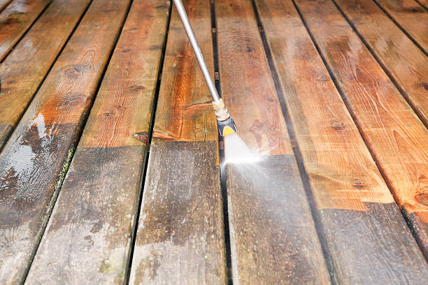  Pinckney, MI Pressure Washing Pros